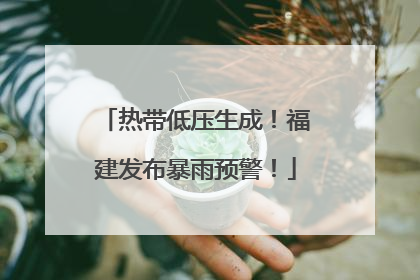 热带低压生成！福建发布暴雨预警！