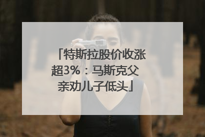 特斯拉股价收涨超3%：马斯克父亲劝儿子低头
