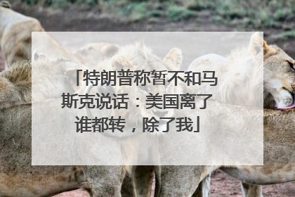 特朗普称暂不和马斯克说话：美国离了谁都转，除了我