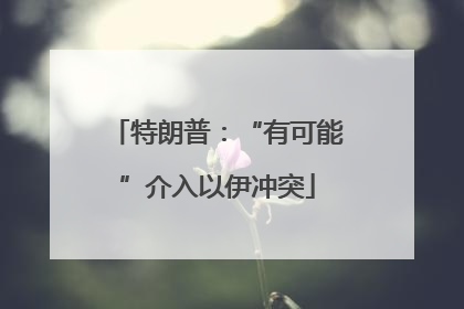 特朗普：“有可能”介入以伊冲突