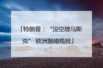 特朗普：“没空理马斯克” 欧洲抛橄榄枝