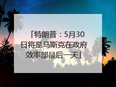 特朗普：5月30日将是马斯克在政府效率部最后一天