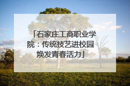石家庄工商职业学院：传统技艺进校园焕发青春活力