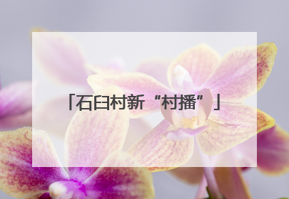 石臼村新“村播”