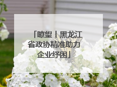 瞭望丨黑龙江省政协精准助力企业纾困