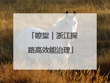 瞭望｜浙江探路高效能治理