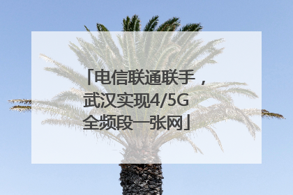 电信联通联手，武汉实现4/5G全频段一张网