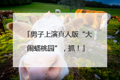 男子上演真人版“大闹蟠桃园”，抓！