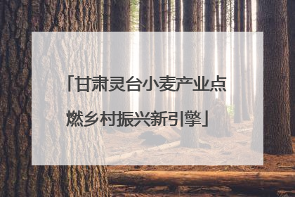 甘肃灵台小麦产业点燃乡村振兴新引擎