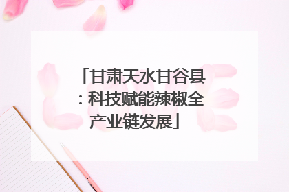 甘肃天水甘谷县：科技赋能辣椒全产业链发展