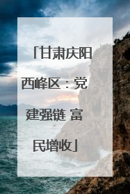 甘肃庆阳西峰区：党建强链 富民增收