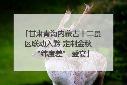 甘肃青海内蒙古十二景区联动入黔 定制金秋 “纬度差” 盛宴