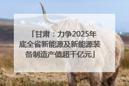 甘肃：力争2025年底全省新能源及新能源装备制造产值超千亿元