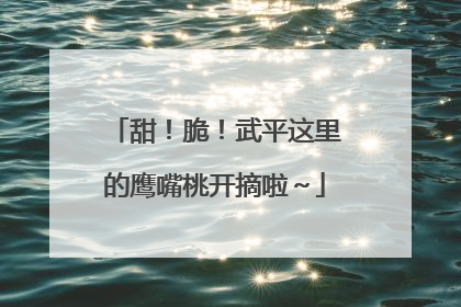 甜！脆！武平这里的鹰嘴桃开摘啦～