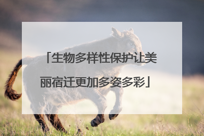 生物多样性保护让美丽宿迁更加多姿多彩