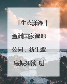 生态潇湘｜萱洲国家湿地公园：新生鹭鸟振翅欲飞