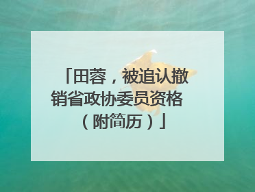 田蓉，被追认撤销省政协委员资格（附简历）