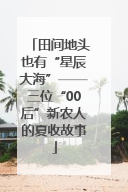 田间地头也有“星辰大海”——三位“00后”新农人的夏收故事