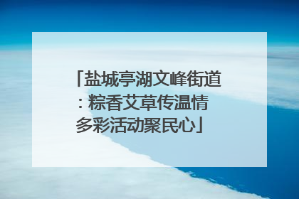 盐城亭湖文峰街道:粽香艾草传温情 多彩活动聚民心