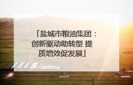 盐城市粮油集团：创新驱动助转型 提质增效促发展