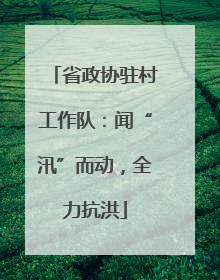 省政协驻村工作队：闻“汛”而动，全力抗洪
