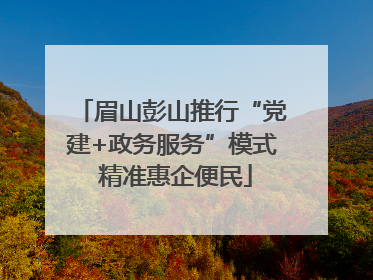 眉山彭山推行“党建+政务服务”模式 精准惠企便民