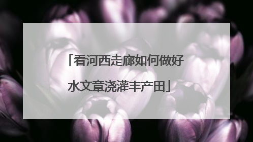 看河西走廊如何做好水文章浇灌丰产田