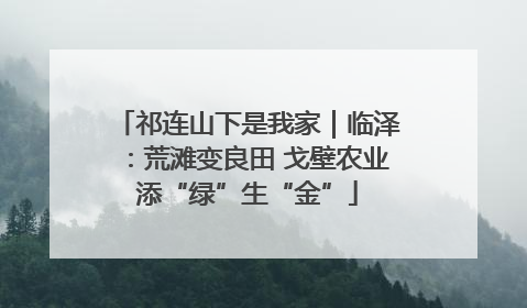 祁连山下是我家｜临泽：荒滩变良田 戈壁农业添“绿”生“金”