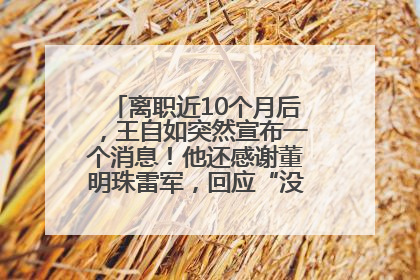 离职近10个月后，王自如突然宣布一个消息！他还感谢董明珠雷军，回应“没看过格力工资条”：真的不那么重要！