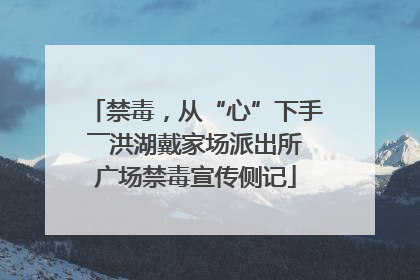 禁毒，从“心”下手――洪湖戴家场派出所广场禁毒宣传侧记