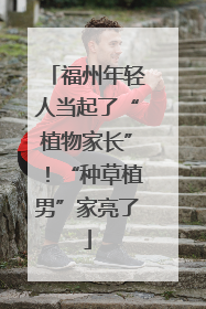 福州年轻人当起了“植物家长”！“种草植男”家亮了