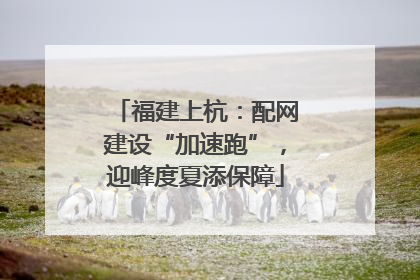 福建上杭：配网建设“加速跑”，迎峰度夏添保障