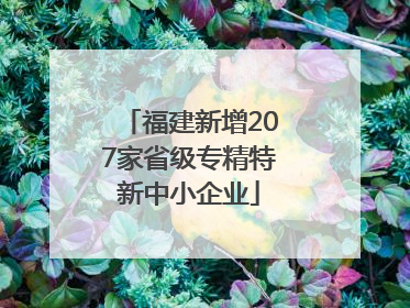 福建新增207家省级专精特新中小企业