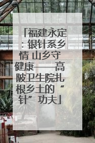 福建永定：银针系乡情 山乡守健康——高陂卫生院扎根乡土的“针”功夫