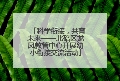 科学衔接，共育未来——北碚区龙凤教管中心开展幼小衔接交流活动