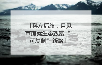 科左后旗：月见草铺就生态致富“可复制”新路