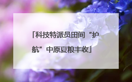 科技特派员田间“护航”中原夏粮丰收