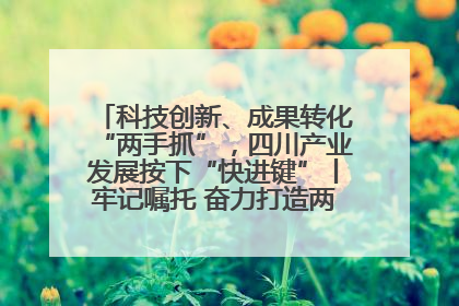 科技创新、成果转化“两手抓”，四川产业发展按下“快进键”丨牢记嘱托 奋力打造两高地两基地一屏障