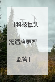 科技巨头需适应更严监管