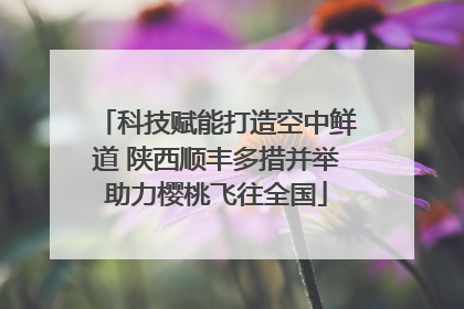 科技赋能打造空中鲜道 陕西顺丰多措并举助力樱桃飞往全国