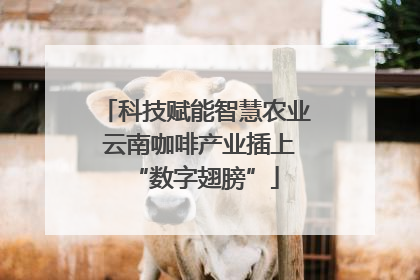 科技赋能智慧农业 云南咖啡产业插上“数字翅膀”