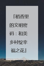 稻香里的文明密码：和美乡村绽幸福之花