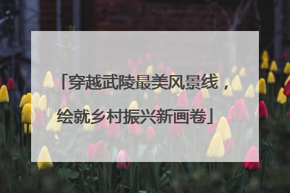 穿越武陵最美风景线，绘就乡村振兴新画卷