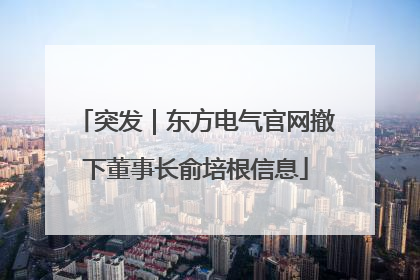 突发｜东方电气官网撤下董事长俞培根信息