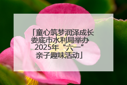 童心筑梦润泽成长 娄底市水利局举办2025年“六一”亲子趣味活动
