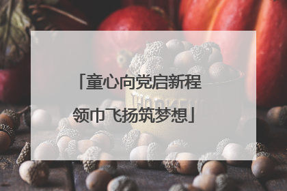 童心向党启新程 领巾飞扬筑梦想