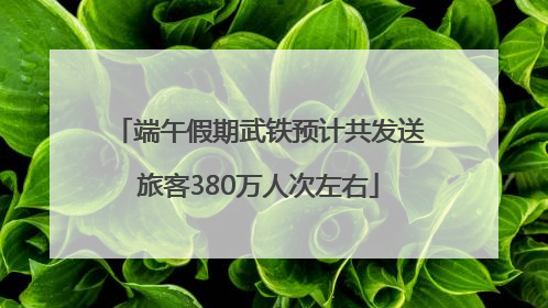 端午假期武铁预计共发送旅客380万人次左右