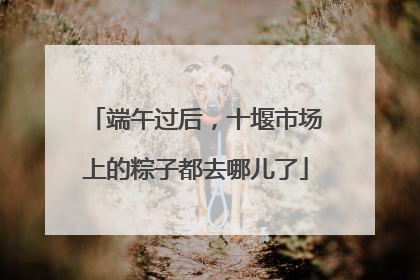 端午过后，十堰市场上的粽子都去哪儿了