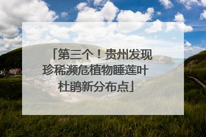 第三个！贵州发现珍稀濒危植物睡莲叶杜鹃新分布点