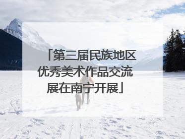 第三届民族地区优秀美术作品交流展在南宁开展